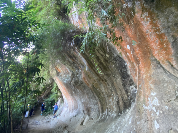 2025微笑山線大縱走尋寶集章任務-Ep.03【鳶山山系】鳶山彩壁段