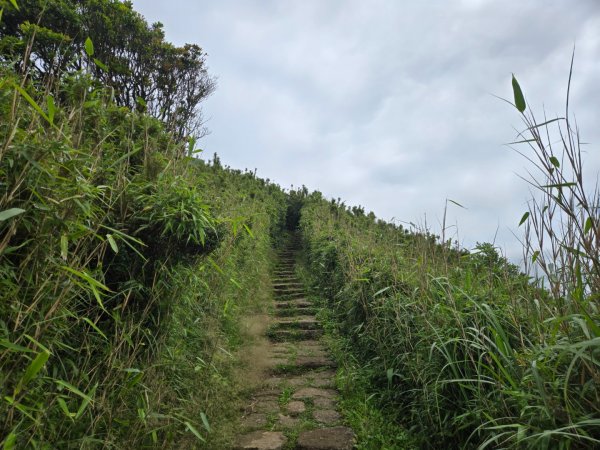 面天山、向天山3045037