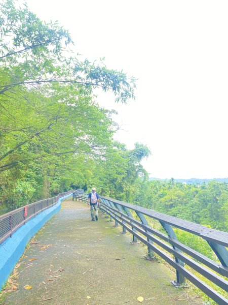 東勢半日遊（電火圳生態步道）    2024.5.12493966