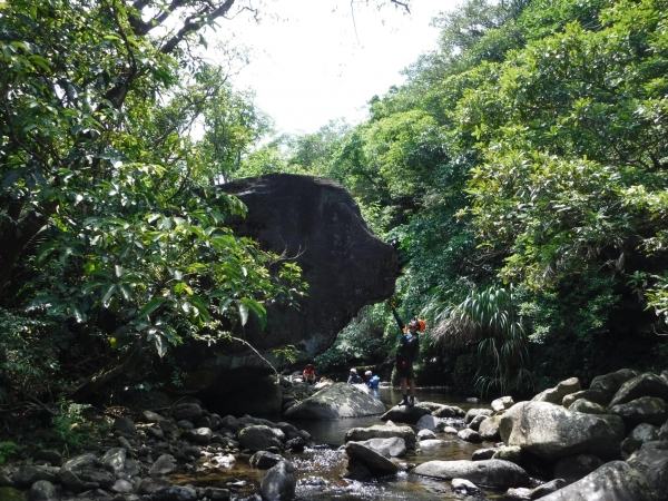 繽紛夏滋味-東北角一日雙棲戲水樂52947