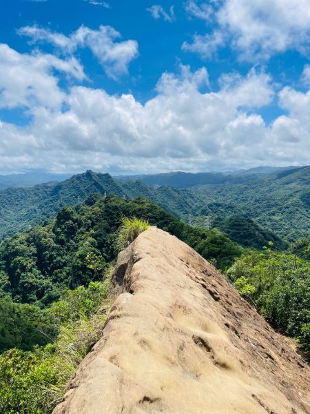 微笑山⛰️線-大棟-二格山-五分山-天上山-鳶山💎12條步道完成💙2841436