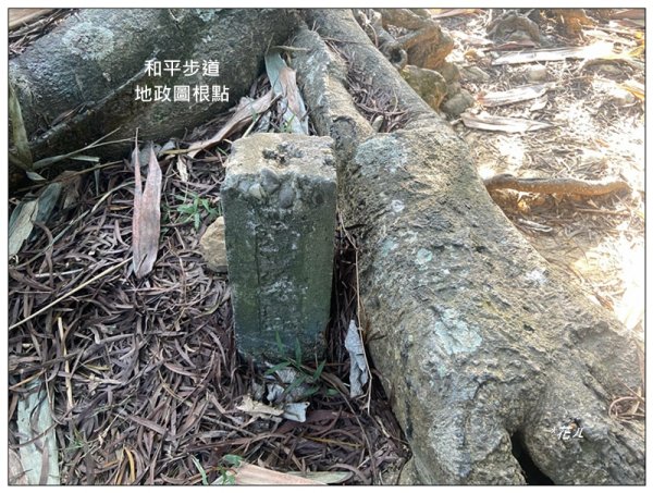 軍功寮山、大坑9、7、6、9-1步道 O型一圈2950808