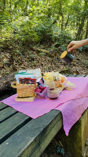 東眼山國家森林遊樂區-仙氣滿滿下午茶1201719