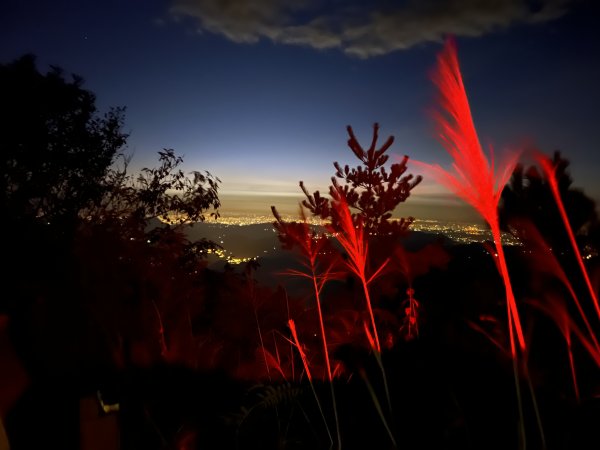 東卯山頂野營體驗 夕陽 星空 日出一次滿足1855362