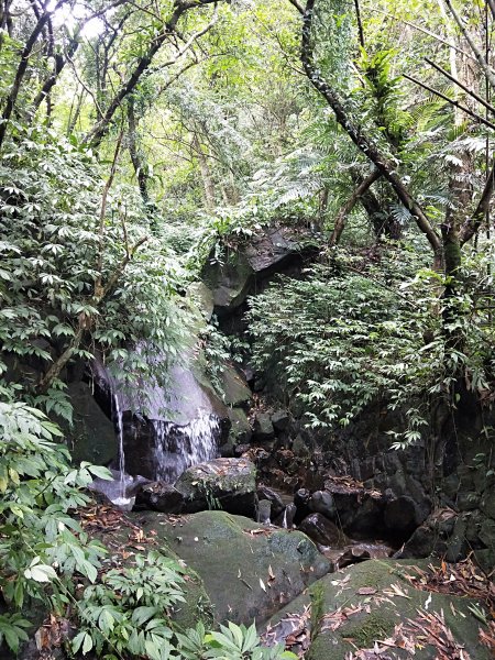 4.5 小時，快閃白雞三山，三缺一1132756