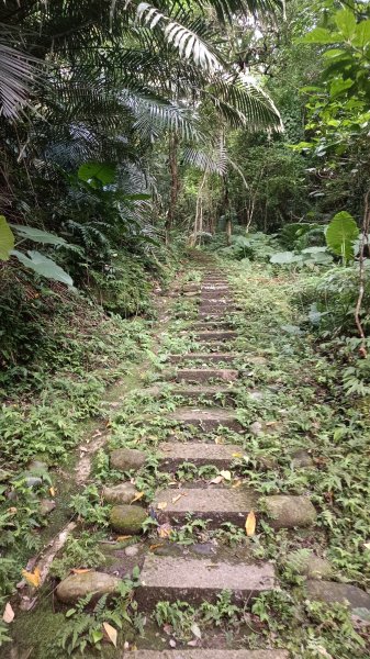 神壽任務尋寶趣-六寮古道1771945