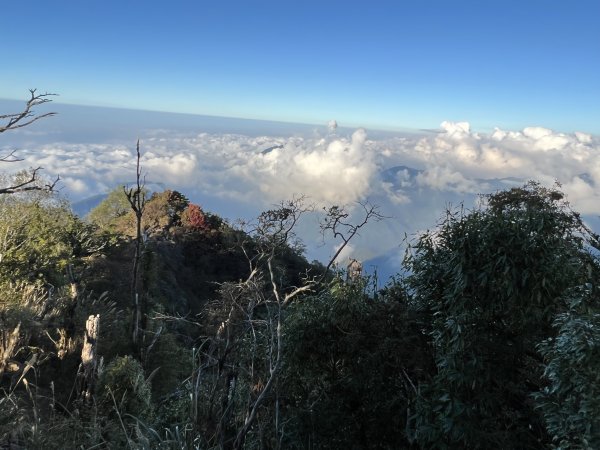 加里山 杜鵑嶺 2054峰 稜線遊玩 看雲海1918565