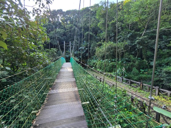 嘉義竹崎十連峰（ 阿拔泉山進O繞獨立山出）2655303