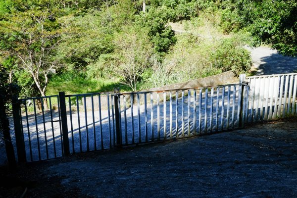 桃園復興區 處暑‧北插天山岩戶線2868403