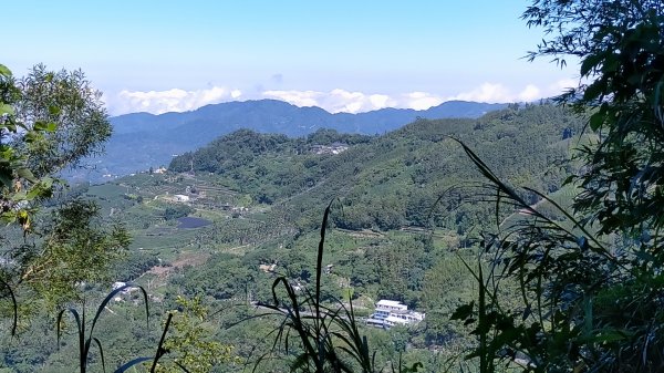 瑞太古道VS大風埕觀日峰 往返1772807