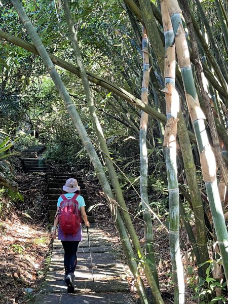 草嶺古道-大溪線-桃源谷-虎字碑-草嶺古道-福隆 202409092593293