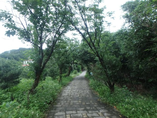 1070614茶山步道3099474