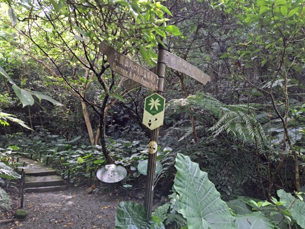 淡蘭南路第一段，第二段：捷運六張犁至烏塗溪步道3105041