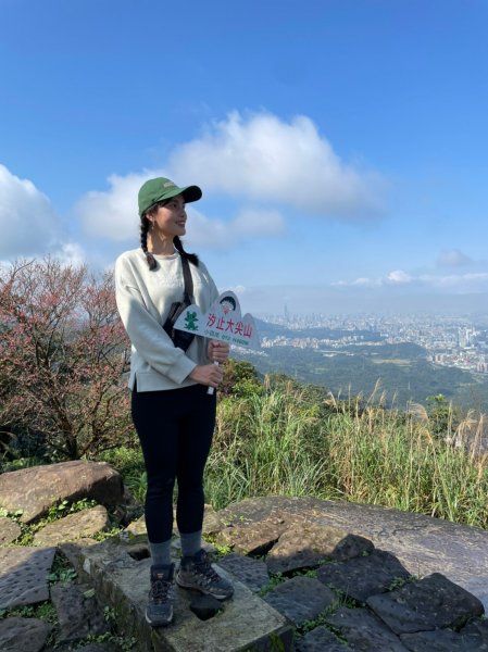 小百岳Ｎo.012大尖山＆四分尾山1623463