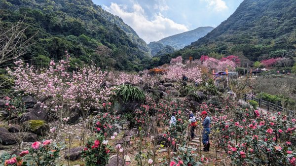 天元宮,楓樹湖,北新庄,淡水老街2430307