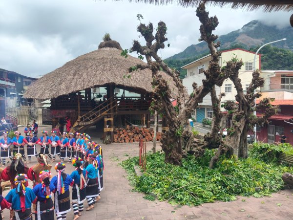 部落登山:達邦-鳥占亭步道3107070