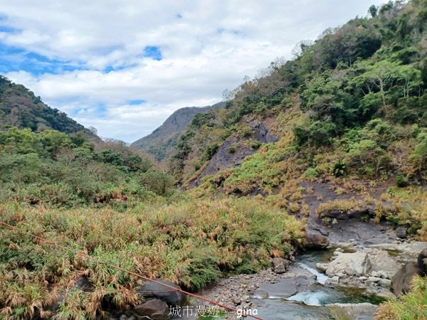 【苗栗泰安】中級山的大霸尖山。 虎山步道2779591