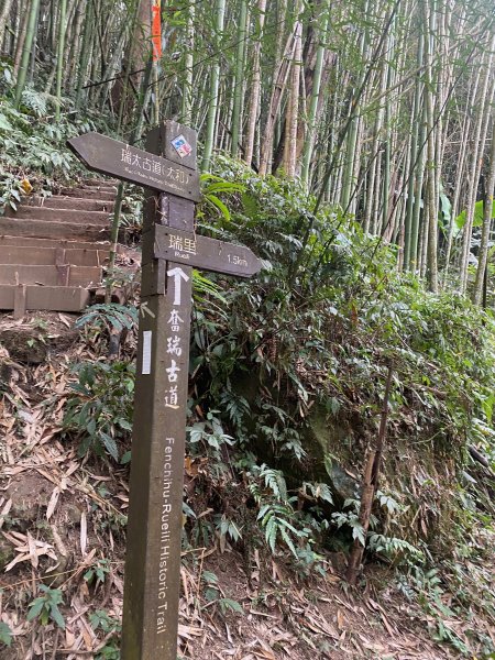 1120329奮瑞古道2643537
