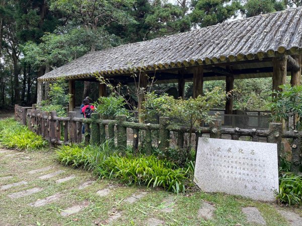 桃園 復興/新北 三峽 東滿步道2314897