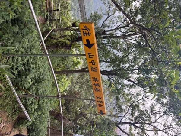 偷吃步之台北天際線第十段2777827