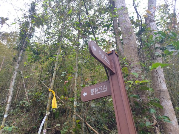 安靖古道2753542
