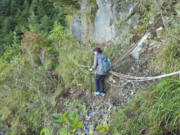 20241012 馬白單攻(馬崙山、白姑大山)2643369