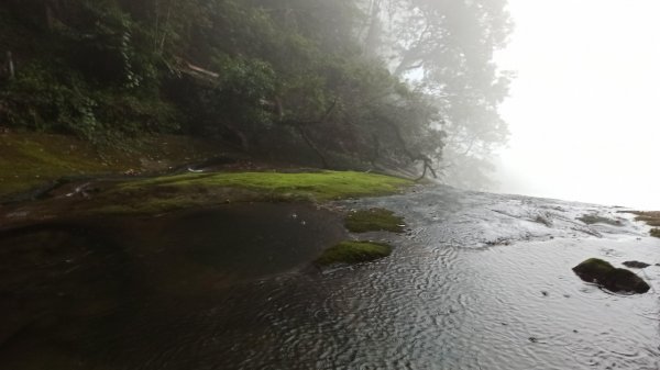 風雨飄搖中的石夢谷、情人谷瀑布步道1134890