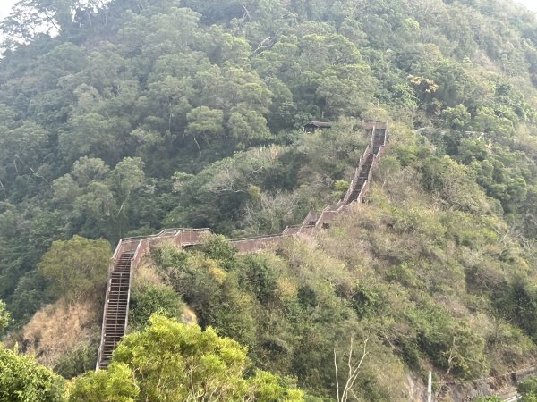 龍頭山步道2969818