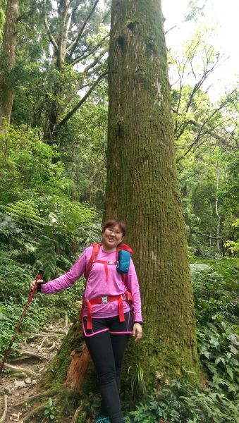 107.04.21 天德巷 → 拉卡山 → 三峽滿月圓 O型317866