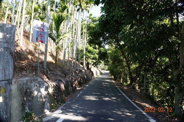 嘉義 竹崎 大坑山2032192