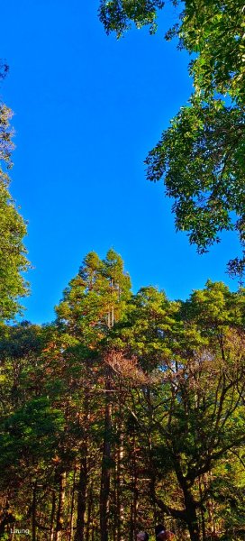 111.12.10 鳶嘴山-稍來山 A進B出1946787