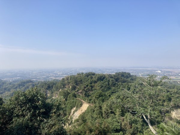 龍過脈森林步道2975684