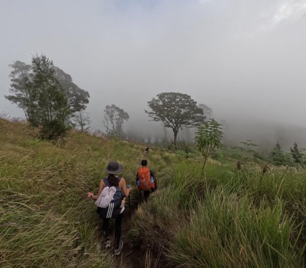 林賈尼火山之旅2531447