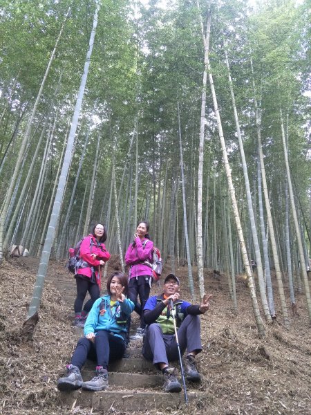 20181204嘉南雲峰、石壁山登山步道473369