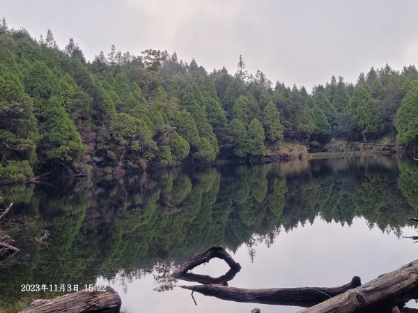 三星山+三星池+望洋山+太平山山毛櫸2432912