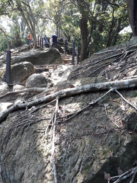 台中大坑步道7上6下20181027444583