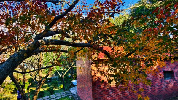 #花卉試驗中心 #永公路500巷 #平菁街42巷 #原住民公園 #士林官邸 1/42976543