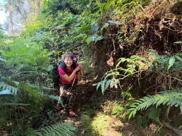 雙崎埋伏坪山歩道、鯉魚潭水庫、大峽谷2938937