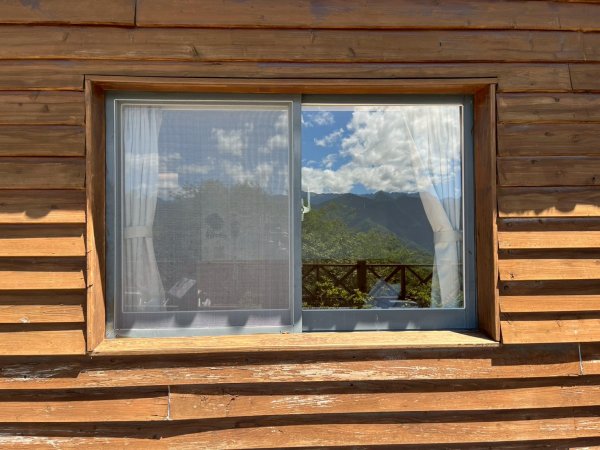 新竹 五峰 觀霧國家森林遊樂區 大鹿林道西線 榛山步道2811367