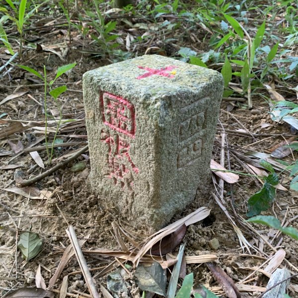 20251122高雄笠山-坦水衍山2945347