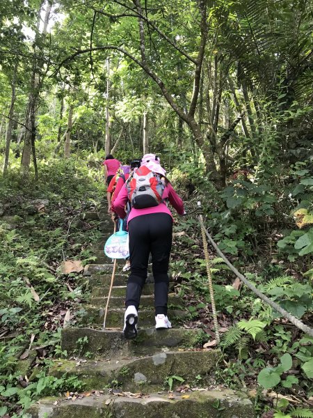 109年6月21日烏山紫竹寺-刣牛湖山1007442