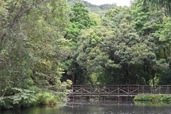 2025_0712 福山植物園2836172