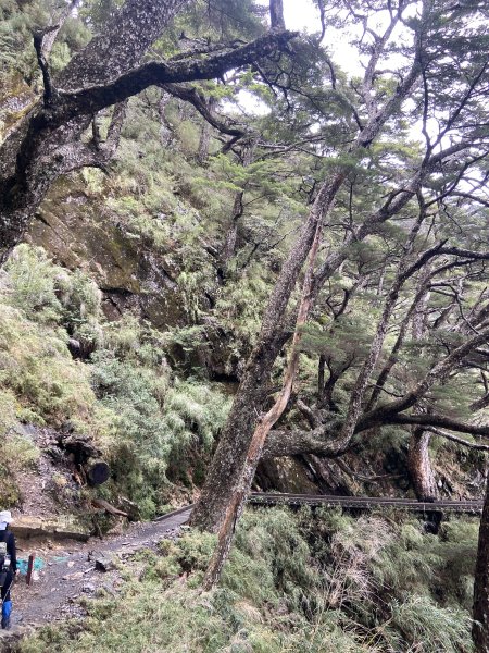 20230515-16玉山前西峰+遠望雨中的主東北2436677