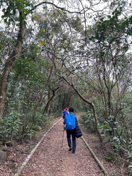 2025-01232淡蘭古道北二段(燦光寮古道到澳底)2696703