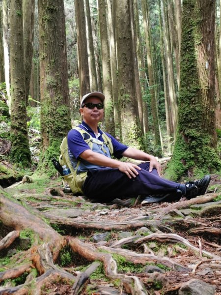 橫嶺山步道_202406272569642