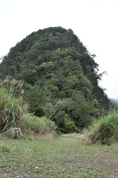 【小百岳】No.20 獅仔頭山305304