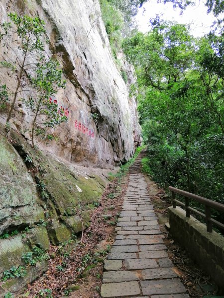 山風徐徐涼如秋。 編號29小百岳~獅頭山743915