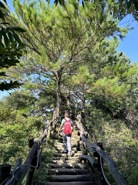大坑4號上頭嵙山 3號3-1號O繞下山 202609133118738