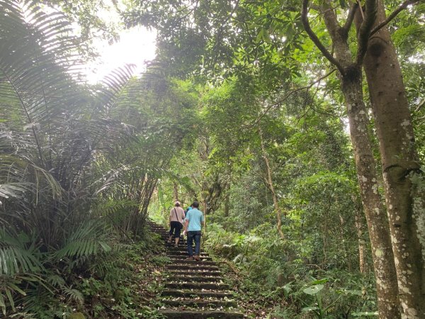大崎棟古道、騎龍古道2772253
