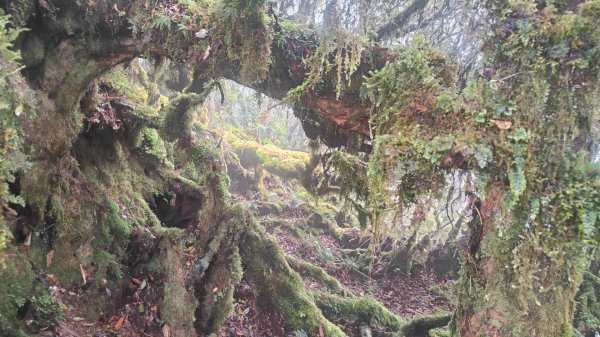 茶仁山單攻2025年4月4日2753341